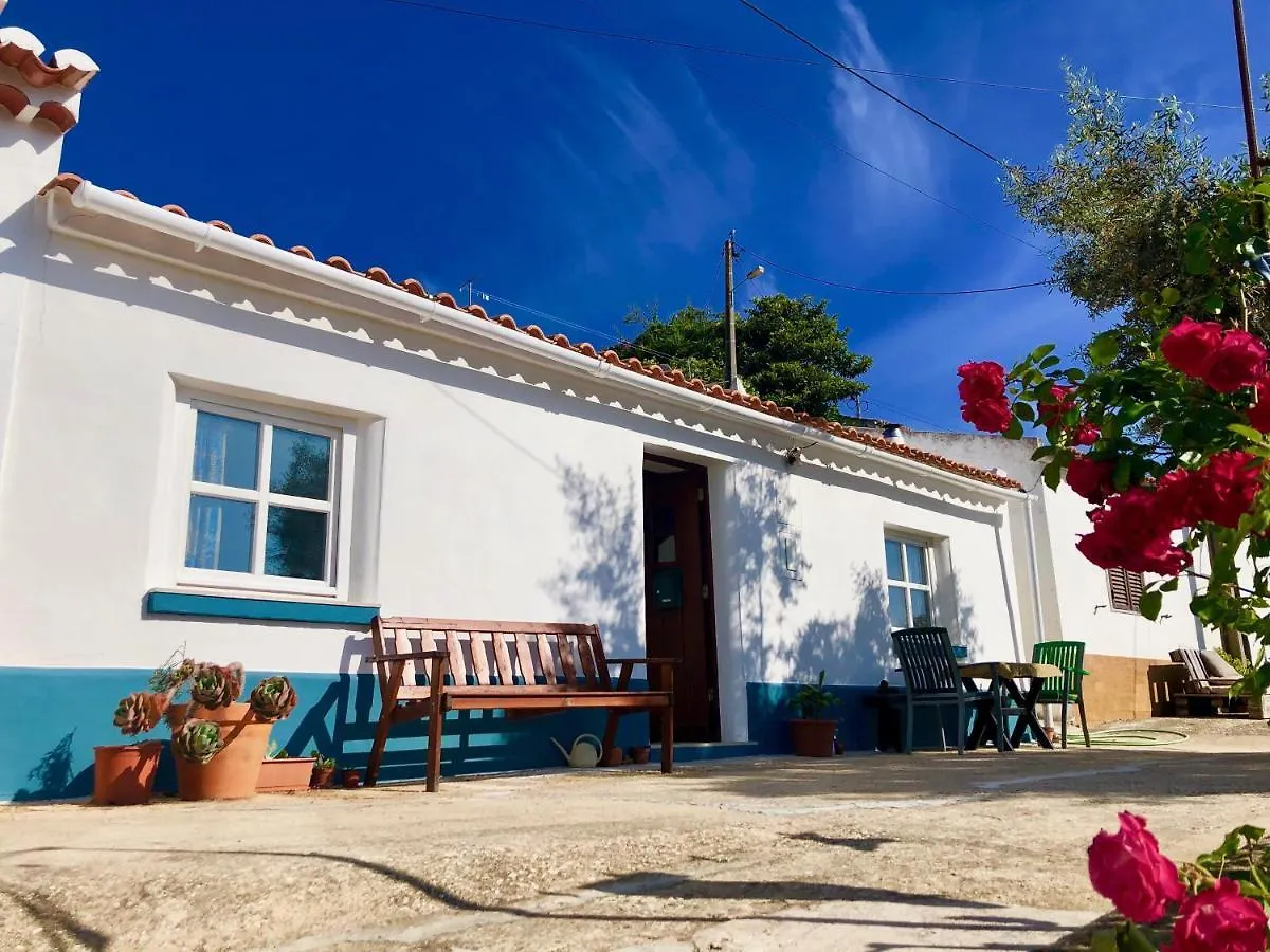 فيلا Casa Anneli - Relaxing Under The Olive Tree ألخيزور بيت للعطل