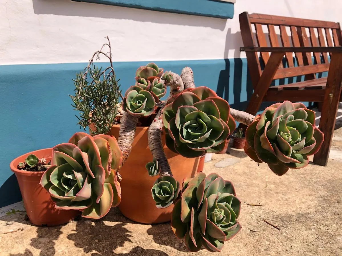 Casa Anneli - Relaxing Under The Olive Tree Villa Aljezur Holiday home
