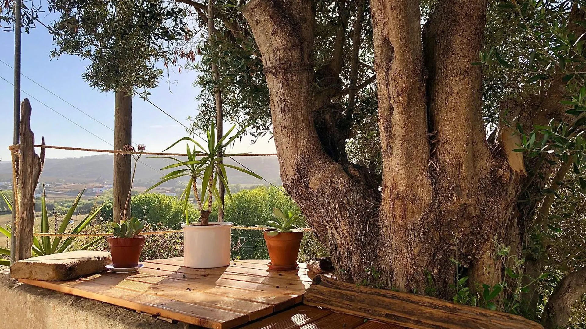 Holiday home Casa Anneli - Relaxing Under The Olive Tree Villa Aljezur